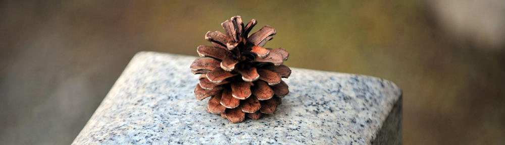 3D rendering